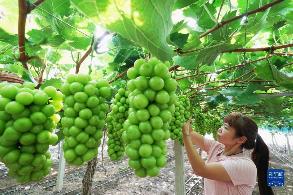 金沙3am换多少网址了